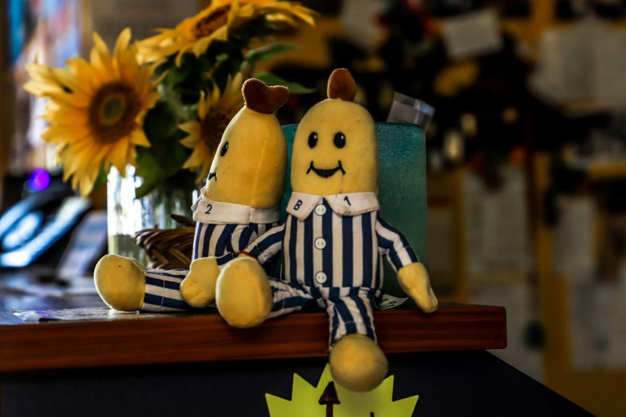 Cool Bananas Backpackers Hostel Agnes Water Εξωτερικό φωτογραφία