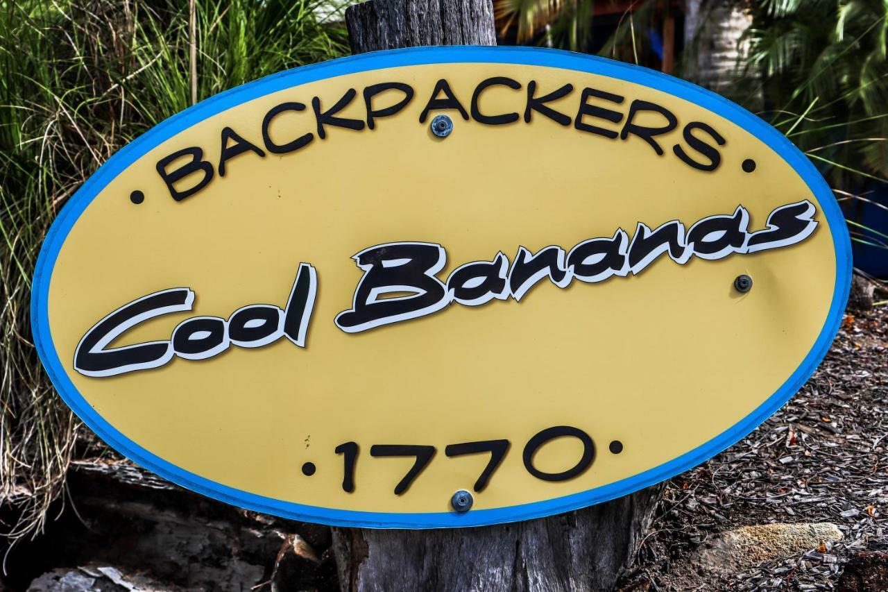 Cool Bananas Backpackers Hostel Agnes Water Εξωτερικό φωτογραφία