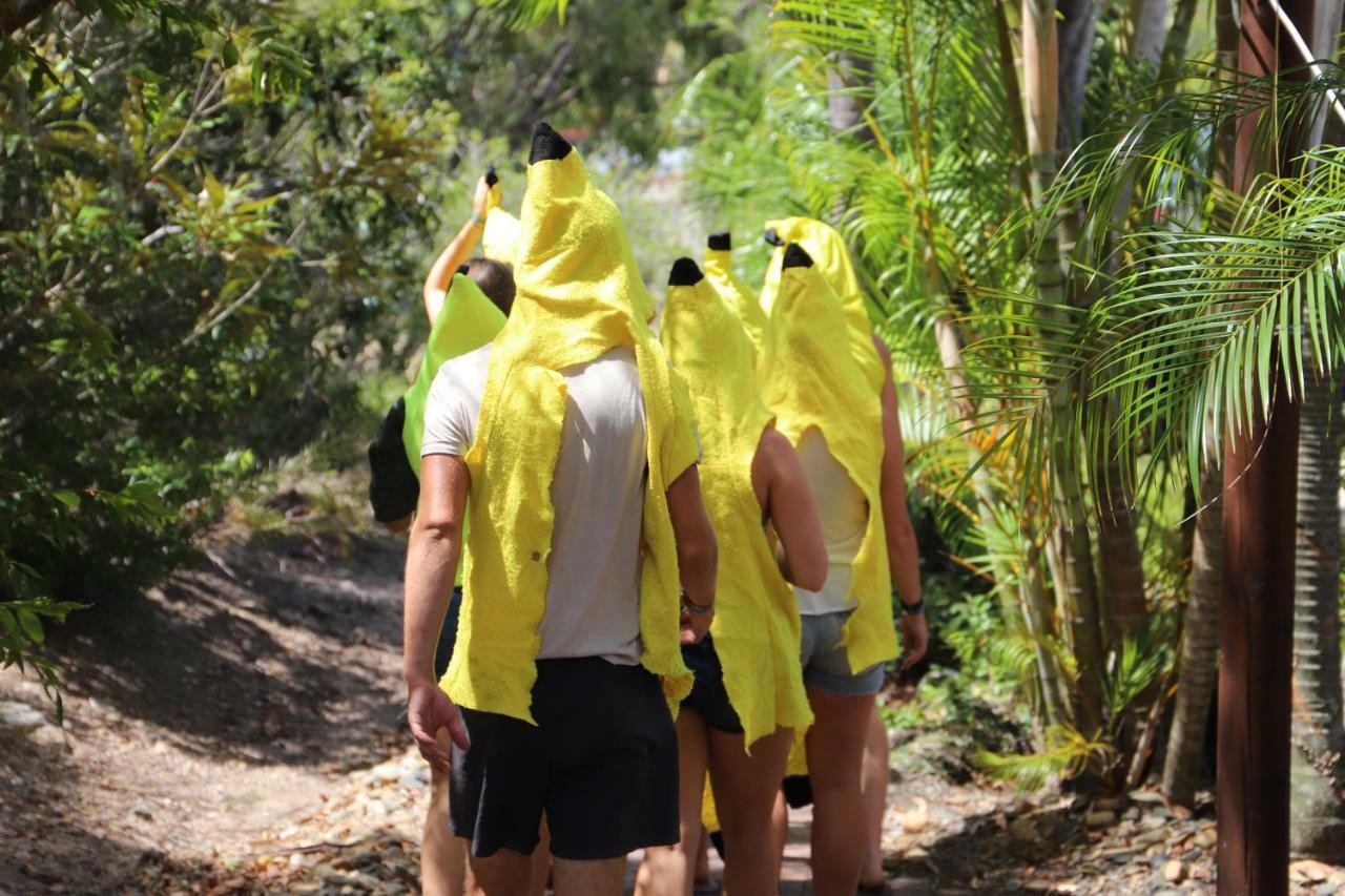 Cool Bananas Backpackers Hostel Agnes Water Εξωτερικό φωτογραφία