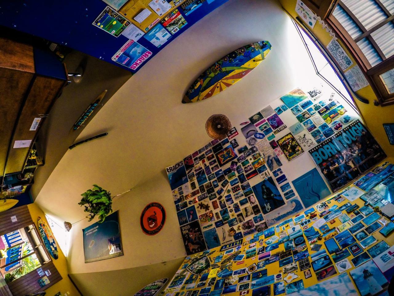 Cool Bananas Backpackers Hostel Agnes Water Εξωτερικό φωτογραφία